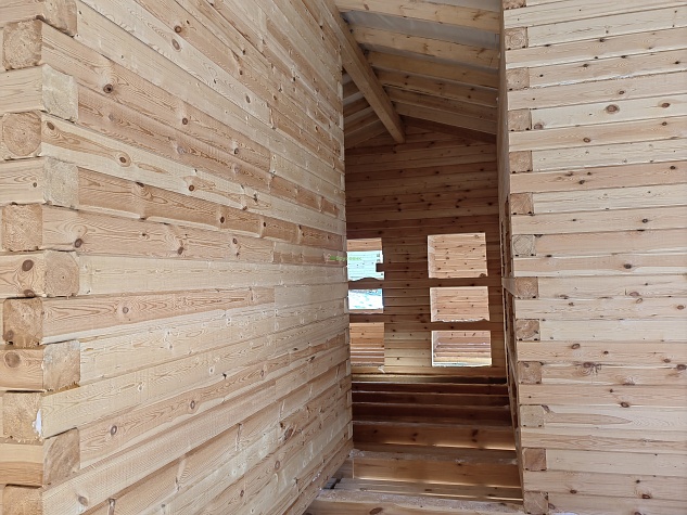 с. Ильинское Костромской район индивидуальный проект