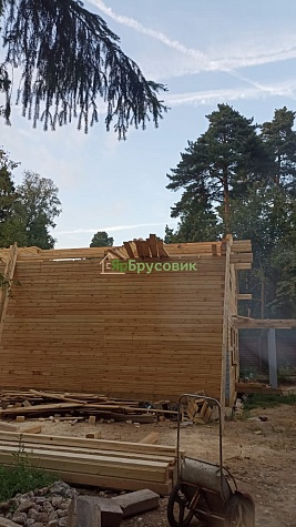 Химики МО индивидуальный проект