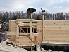 п. Софрино, Московская область, индивидуальный проект